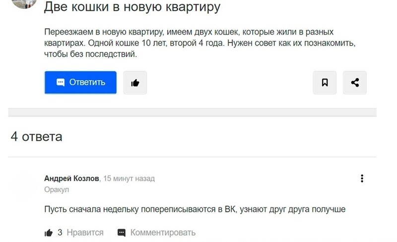 Школота не успокаивается: поток невнятного сознания на ответах Mail.ru