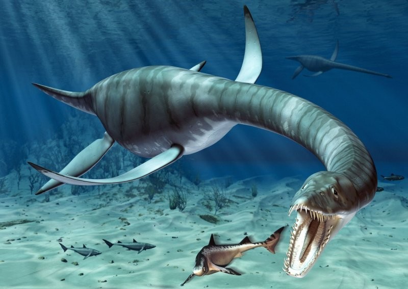 Чудище морское: палеонтологи открыли новый вид динозавра