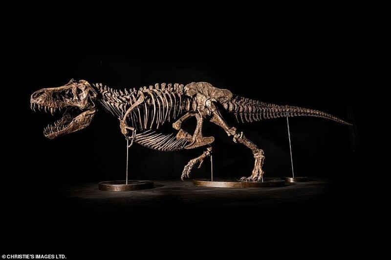 Скелет тираннозавра выставят на аукционе за 1,5 млрд рублей