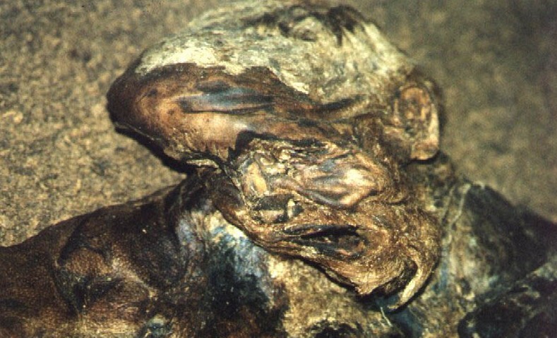 Как мумия из болота помогла расставить точки над i в деле о пропаже человека