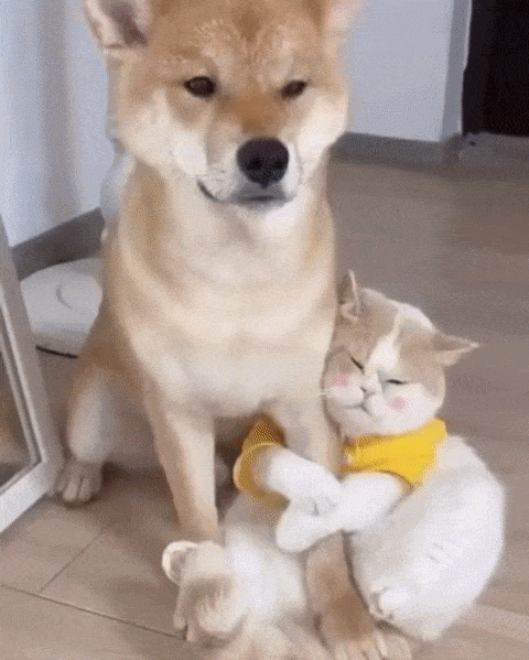 Самые мирные сожители