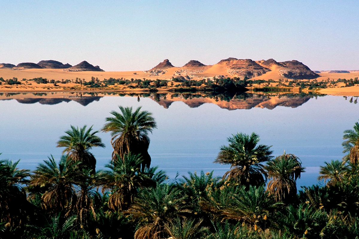 Почему озеро Чад умирает? Что будет с африканским народом?