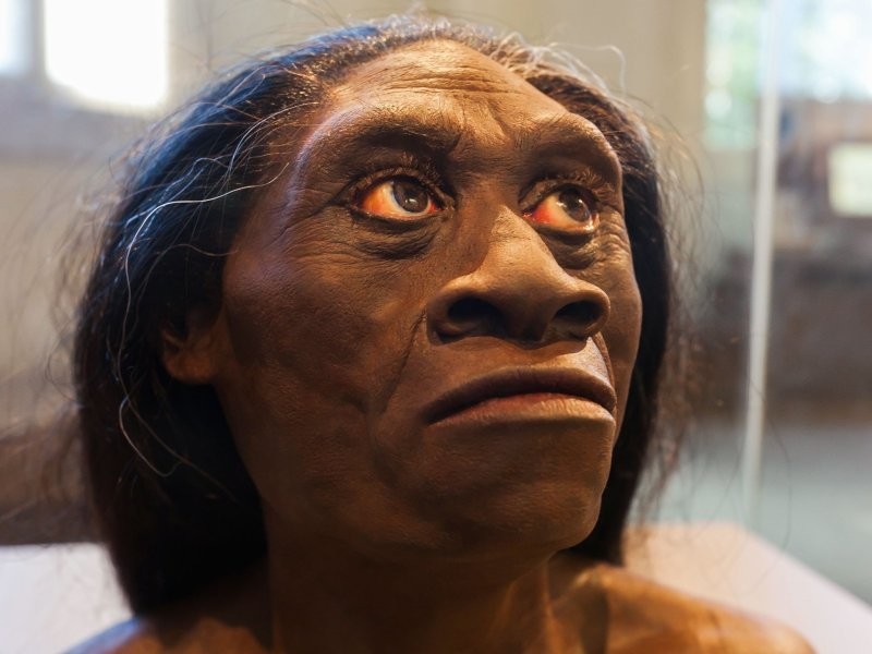 Древний человек - Homo Floresiensis до сих пор живет в Индонезии