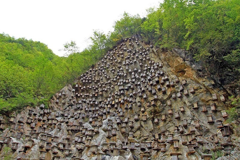 Это кладбище вымершего народа Бо, который был этническим меньшинством Сычуани и Юньнани в Китае. Около 100 деревянных гробов были прикреплены к кольям, вбитым в скалу
