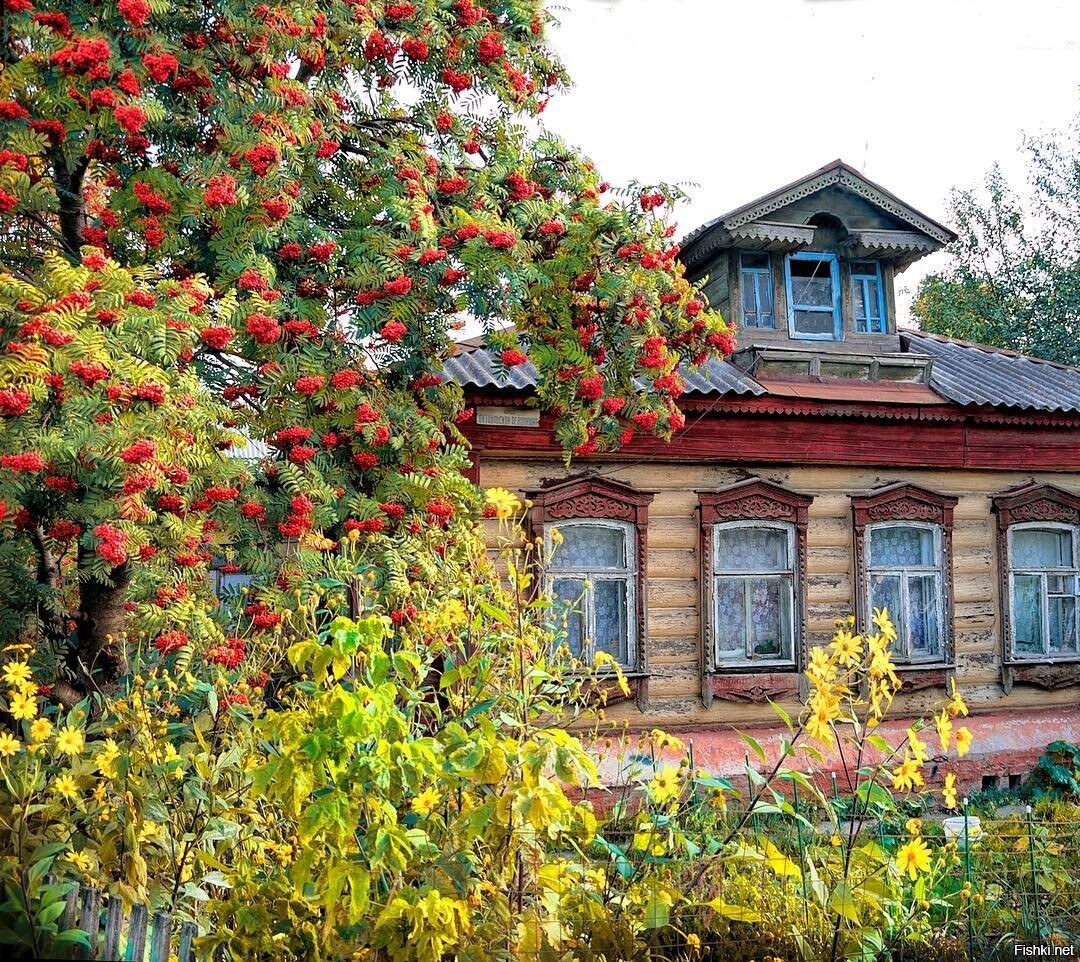 Народные частные земли. Палисад рябина деревня. Деревенский домик. Деревенский домик с рябиной. Рябина в деревне.