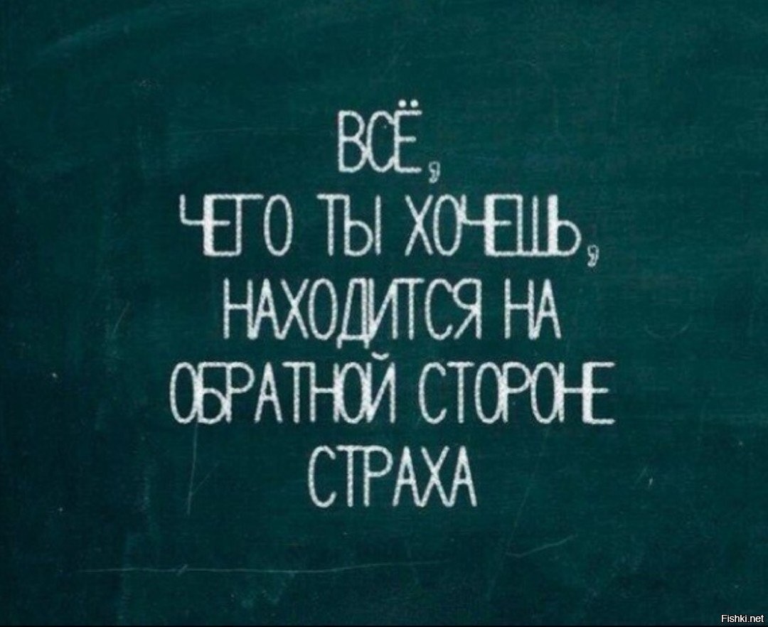 Страх цитаты. Цитаты про страх. Страх цитаты и афоризмы. Фразы про страх. Страх высказывания афоризмы.