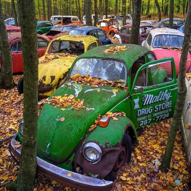 Автовсячина