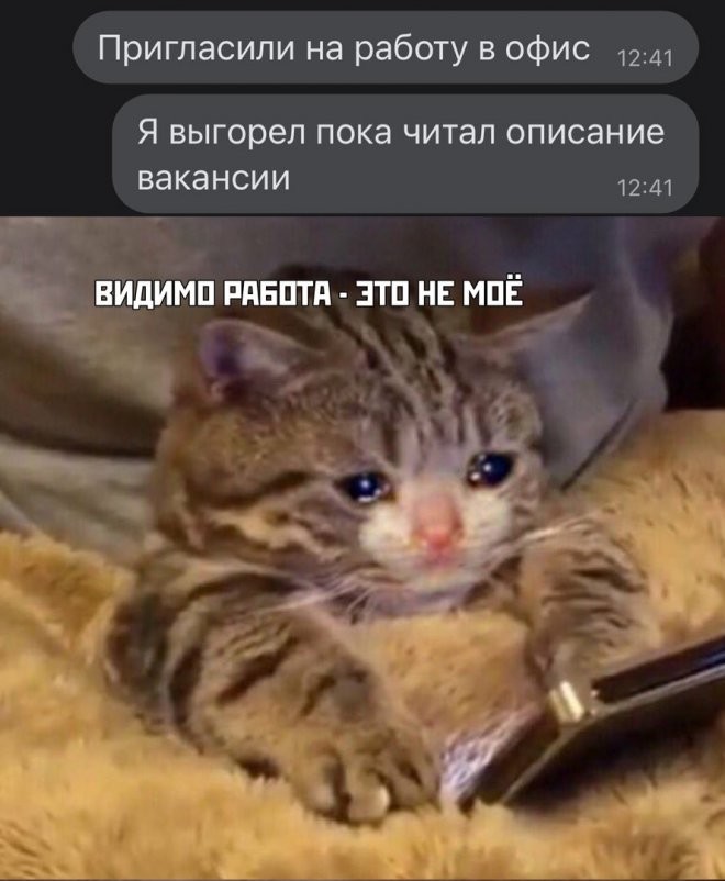 Смешные комментарии из социальных сетей-97