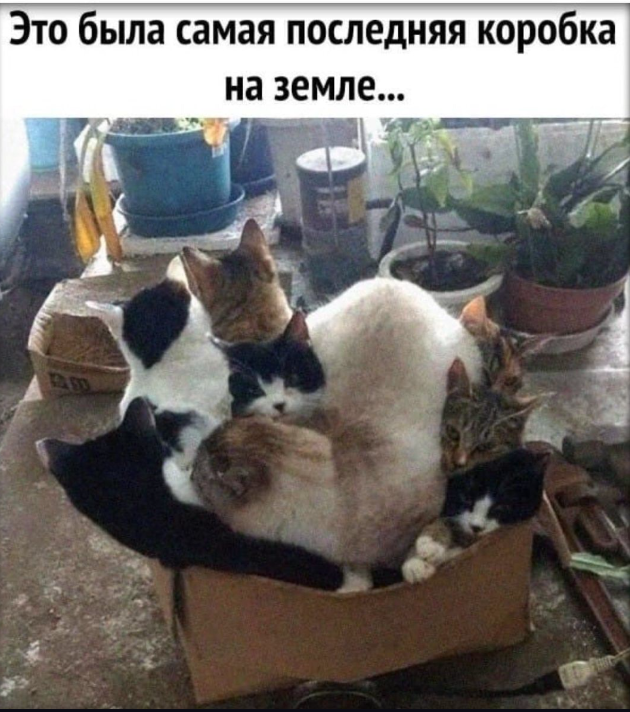 Понедельника всем на позитиве!