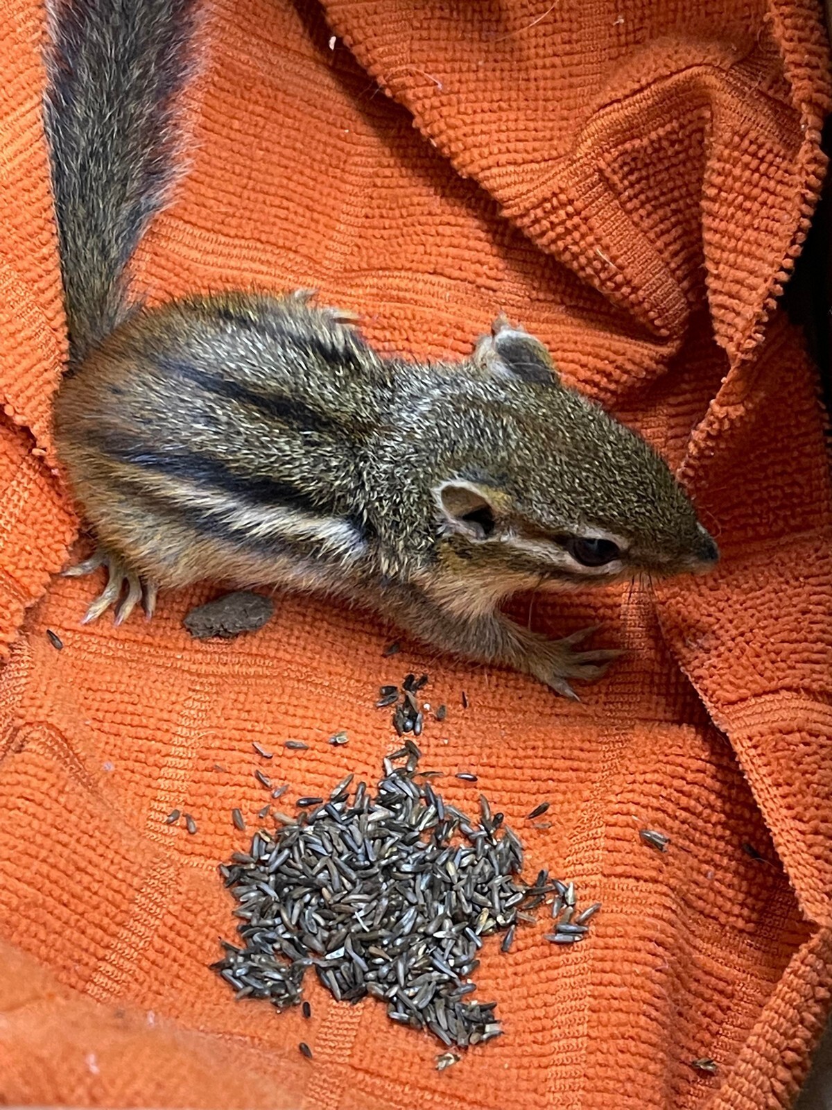 Фотоподборка от Димон за 10 октября 2022