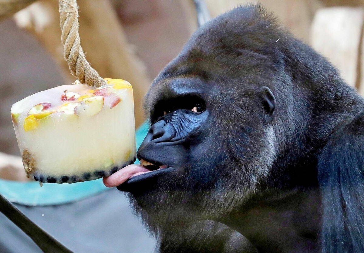 Фотоподборка от Димон за 10 октября 2022