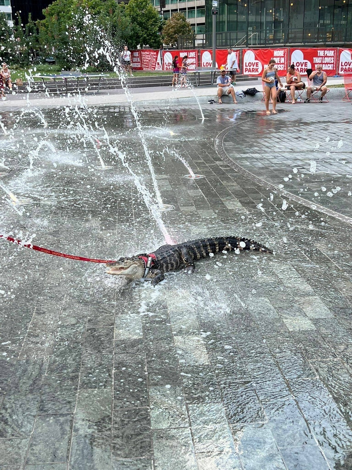 Фотоподборка от Димон за 10 октября 2022