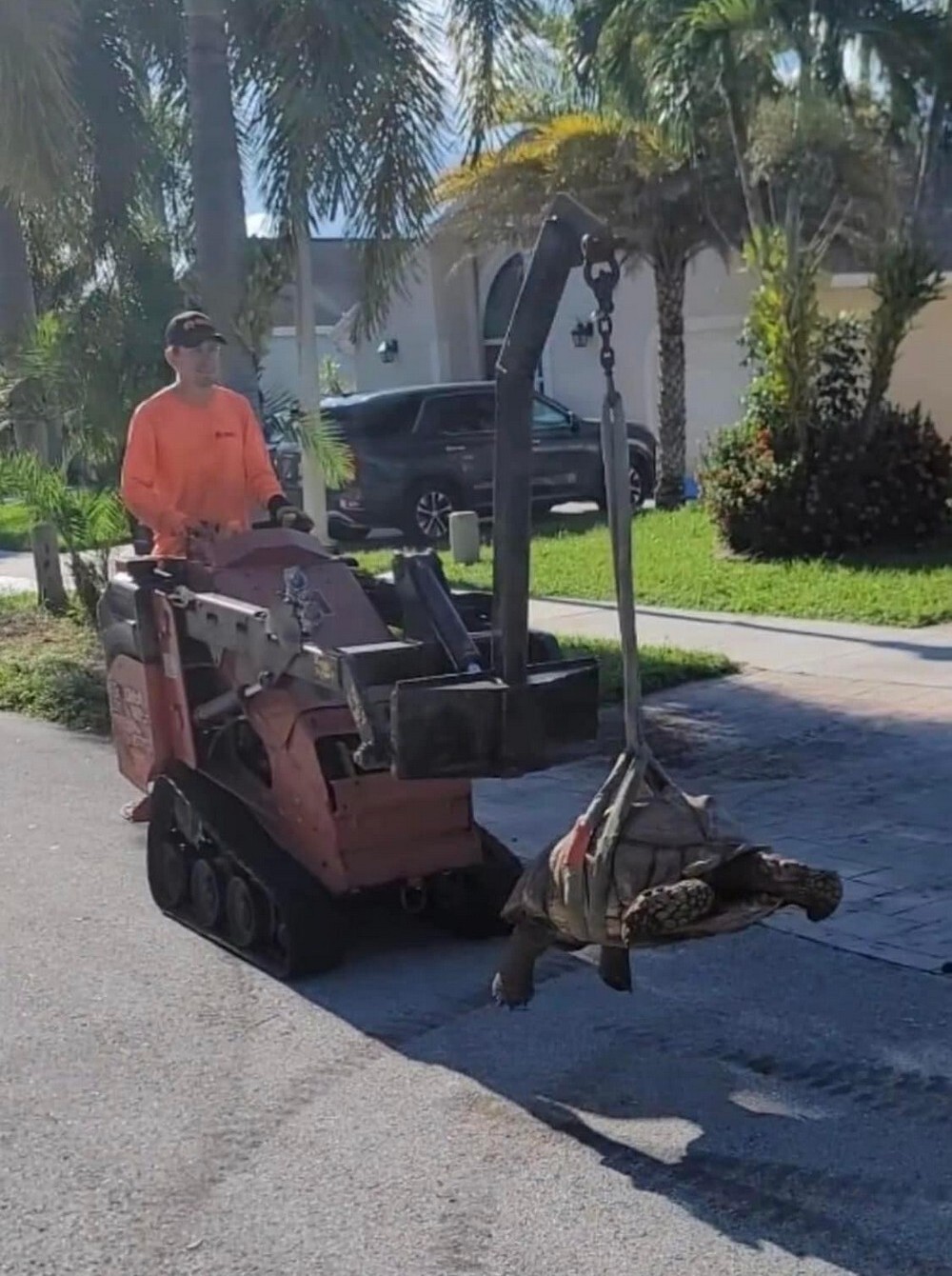 Фотоподборка от Димон за 10 октября 2022