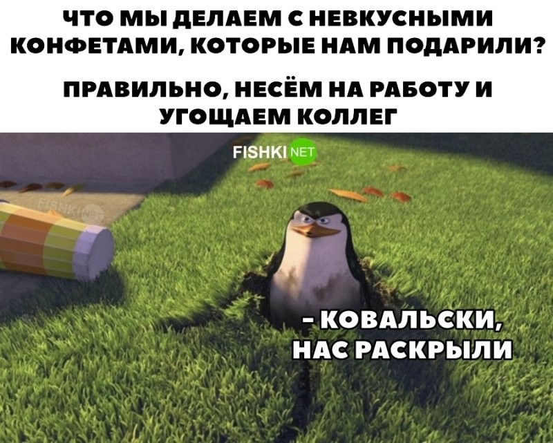 Скрины из соцсетей