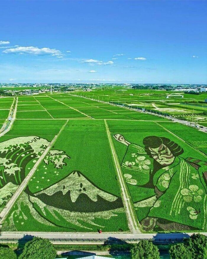 2. Японское искусство рисования на рисовых полях