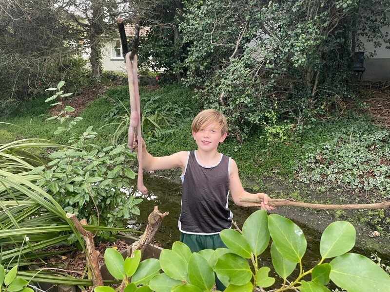 Мальчик из Новой Зеландии нашёл гигантского дождевого червя