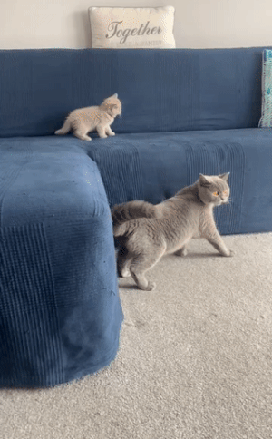 Он точно на батарейках