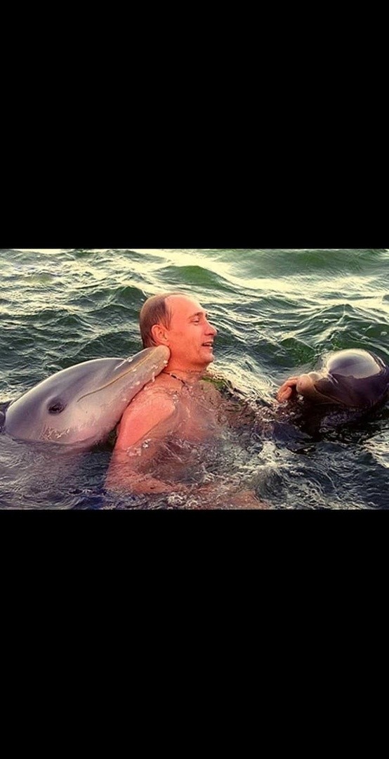 У меня даже есть засекреченная фотка, на которой Путин лично их тренирует - держите