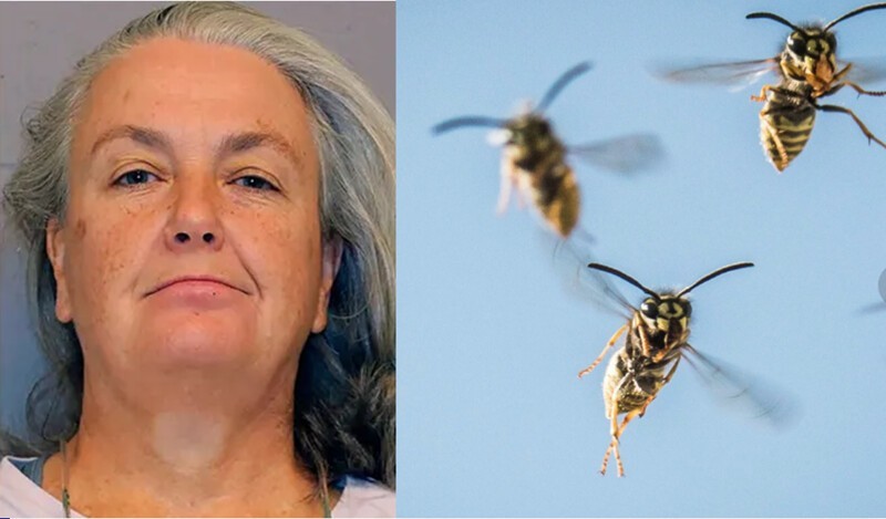 Пчелы против копов