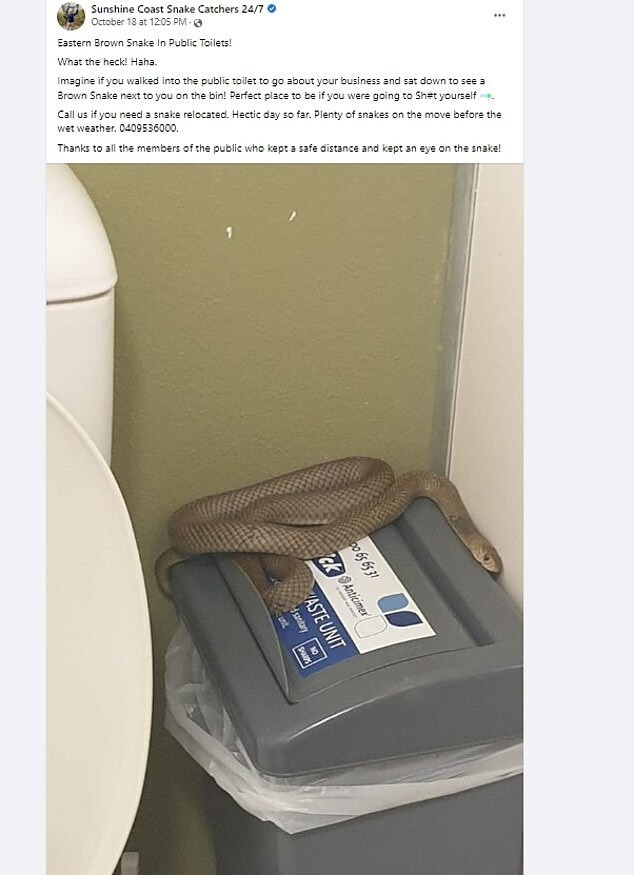 В туалет к австралийцу заползла самая смертоносная змея в мире