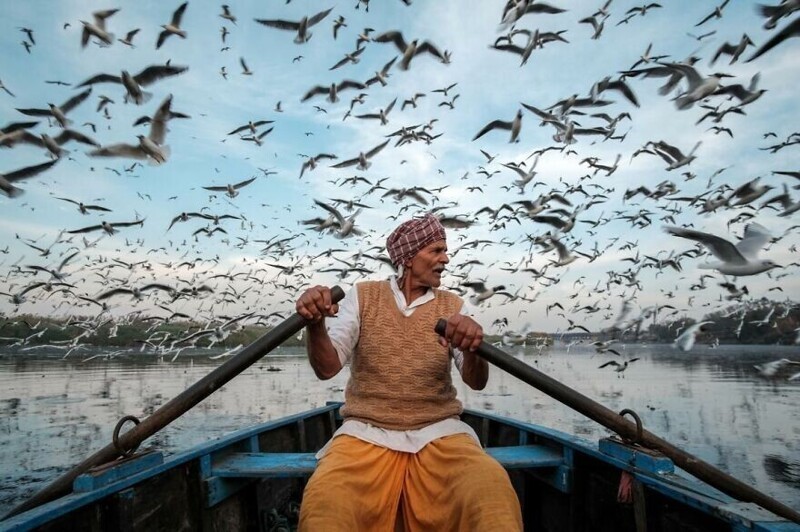 Рамнатх: человек, который кормит перелетных птиц - Саурабх Наранг