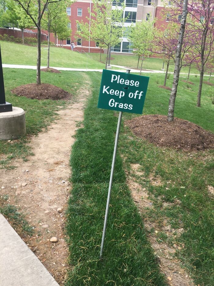 27. "В моем колледже на тропу положили дерн и повесили знак "По траве не ходить". Студенты послушались и проложили дорожку рядом с дерном"