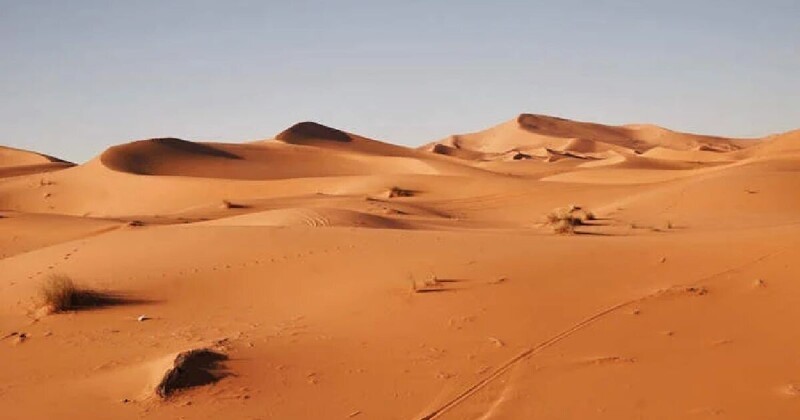В Норвегии придумали, как превратить песок пустыни в плодородную почву всего за 7 часов