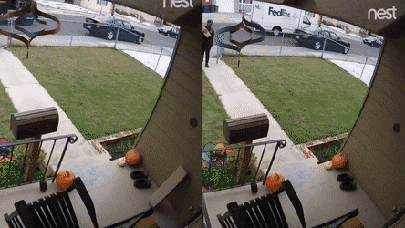 Такие разные курьеры