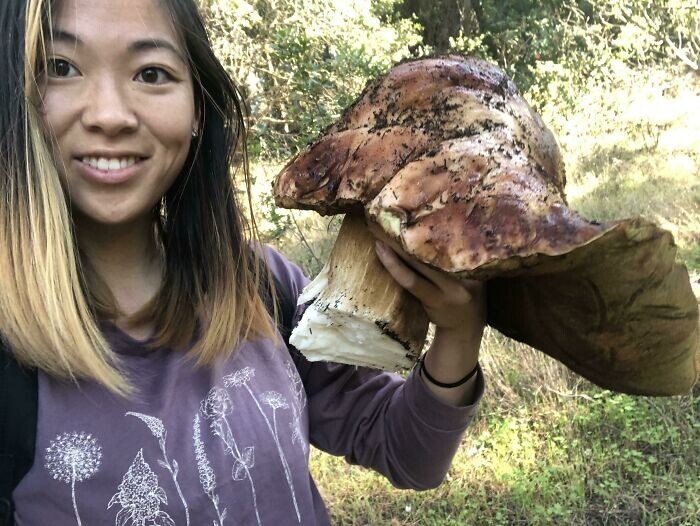 "Мой рекордный белый гриб на 2,2 кило из Калифорнии"