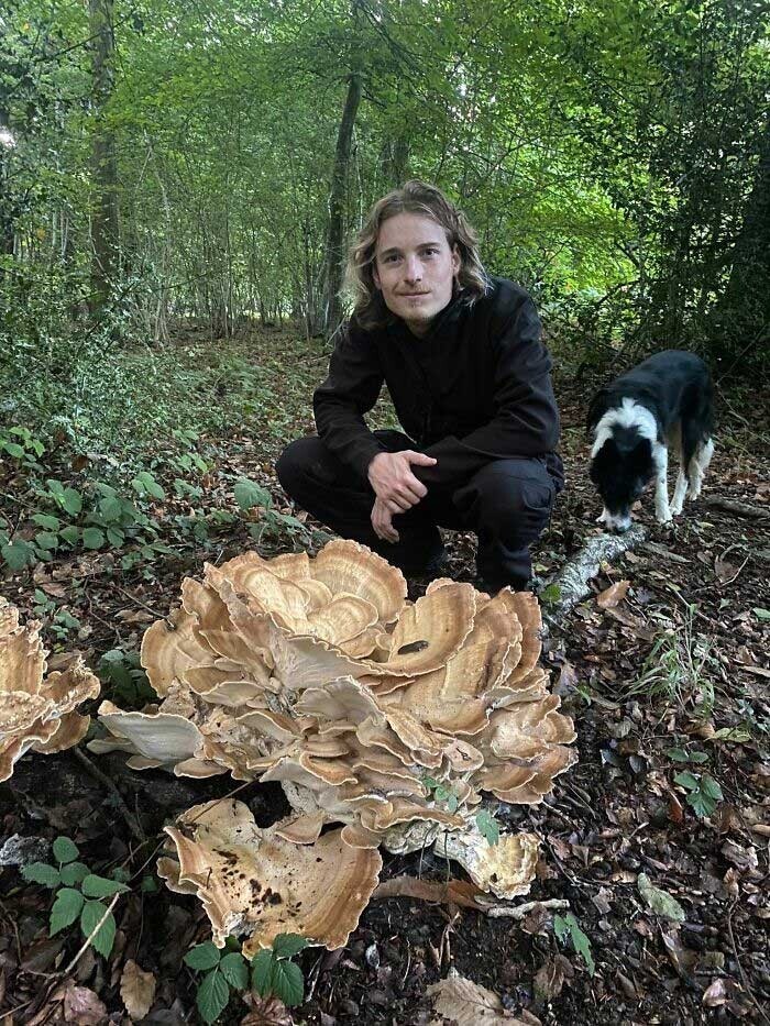 "Это самый большой гриб, который я нашел за всю свою жизнь"