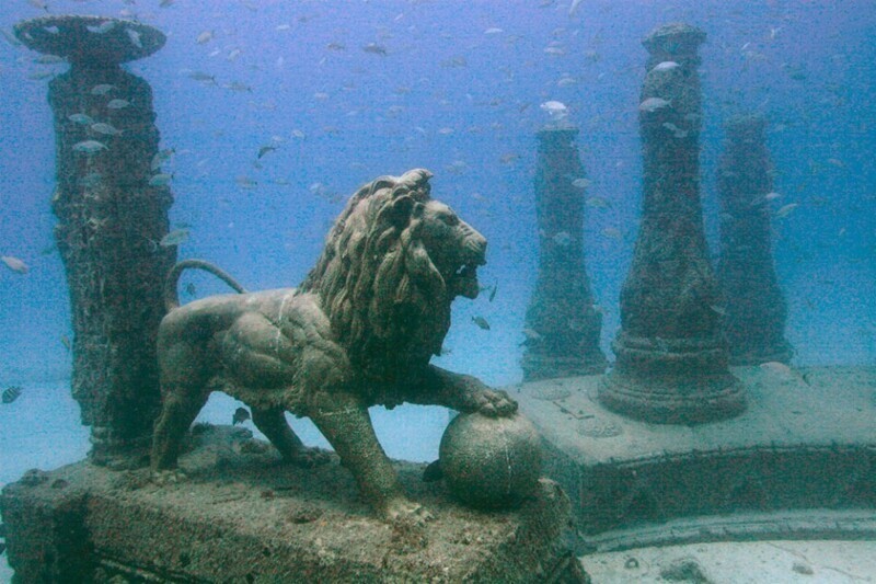 Этот лев обитает на Мемориальном рифе Нептуна. Люди могут заплатить, чтобы разместить здесь свои останки