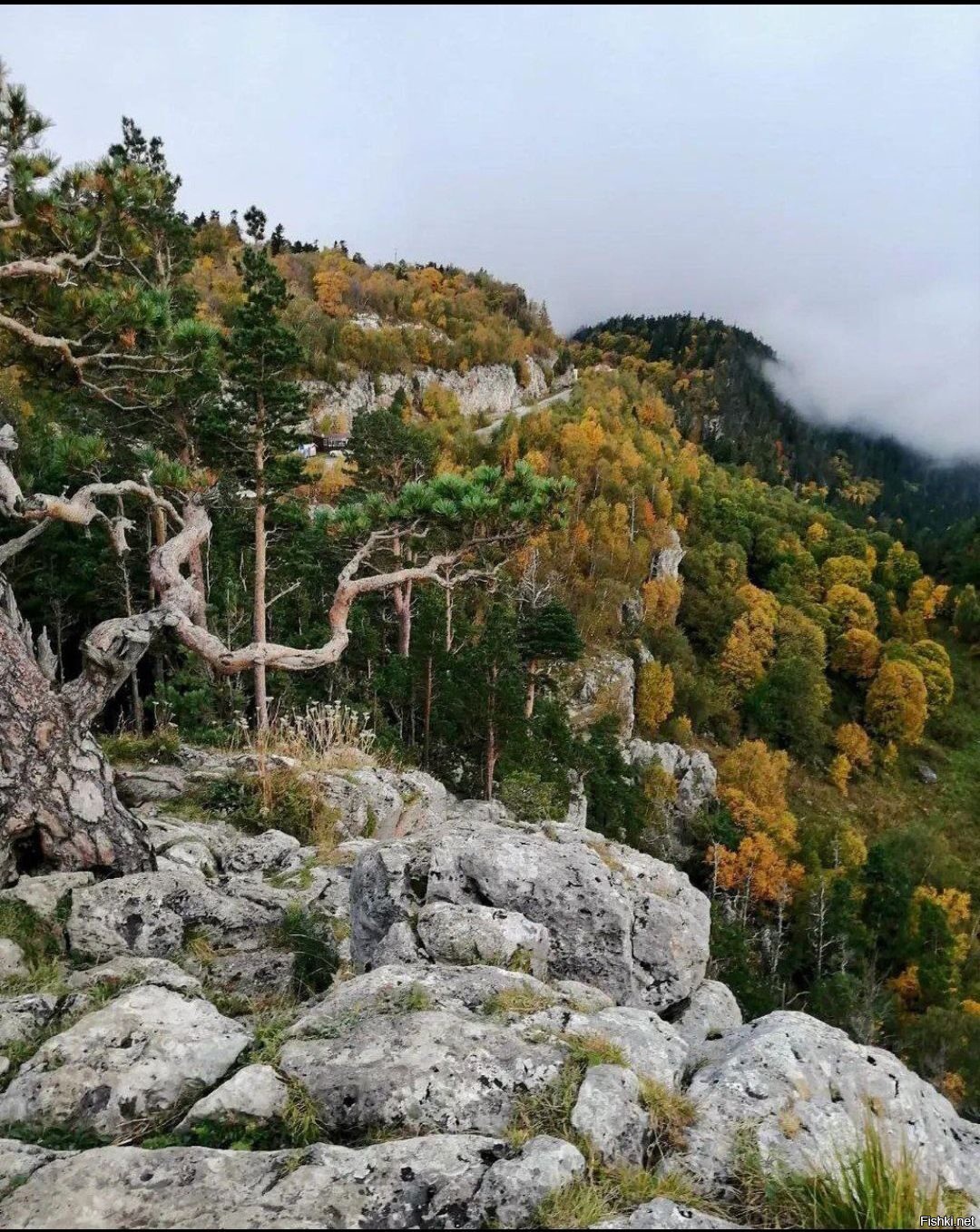 Лагонаки сейчас