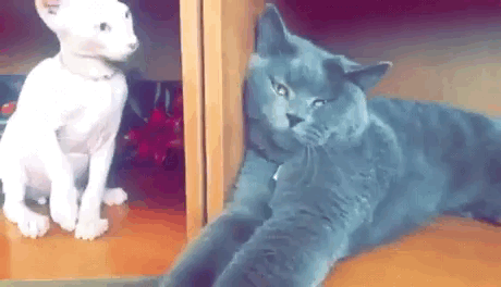 С добрым утром!