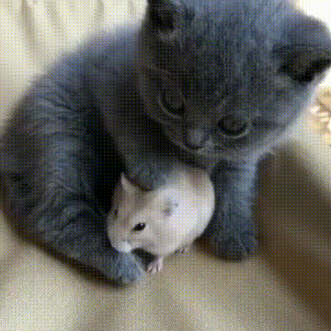 Просто нашел теплое местечко