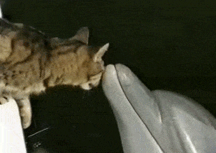 Какой же ты гладенький