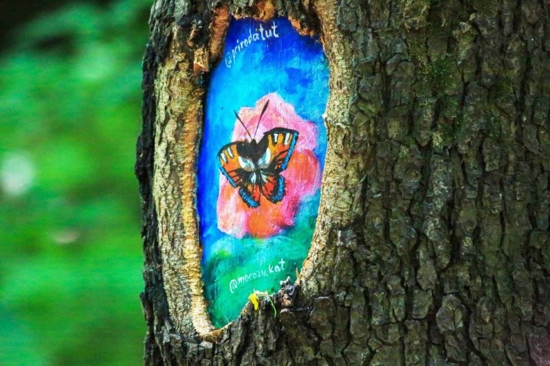 Лечебные рисунки на деревьях в Москве