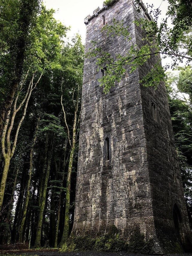 Туристы наткнулись на башню посреди леса