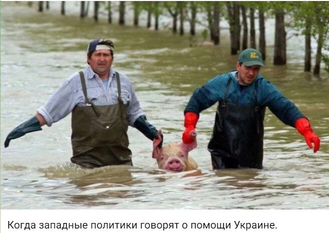 Политический новостной мониторинг событий в мире. Выпуск 267