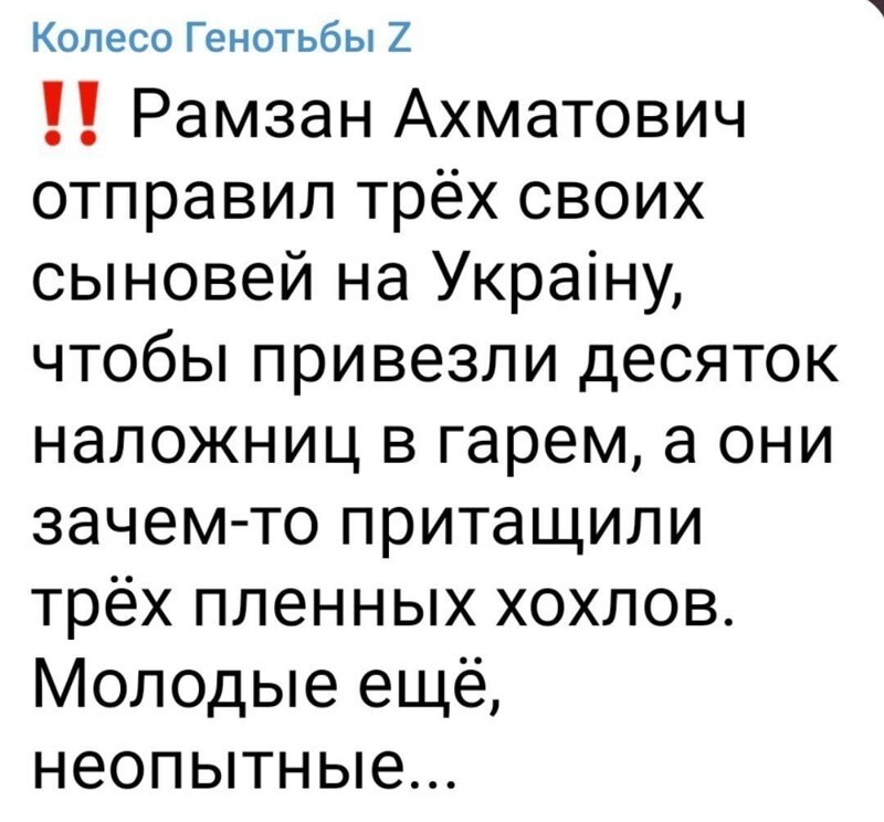 О политике и не только