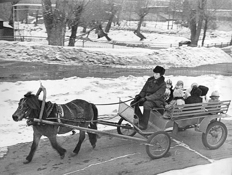 Зоопарк, зима, мороз. 1978 год, Москва. Фото В. Златомрежев