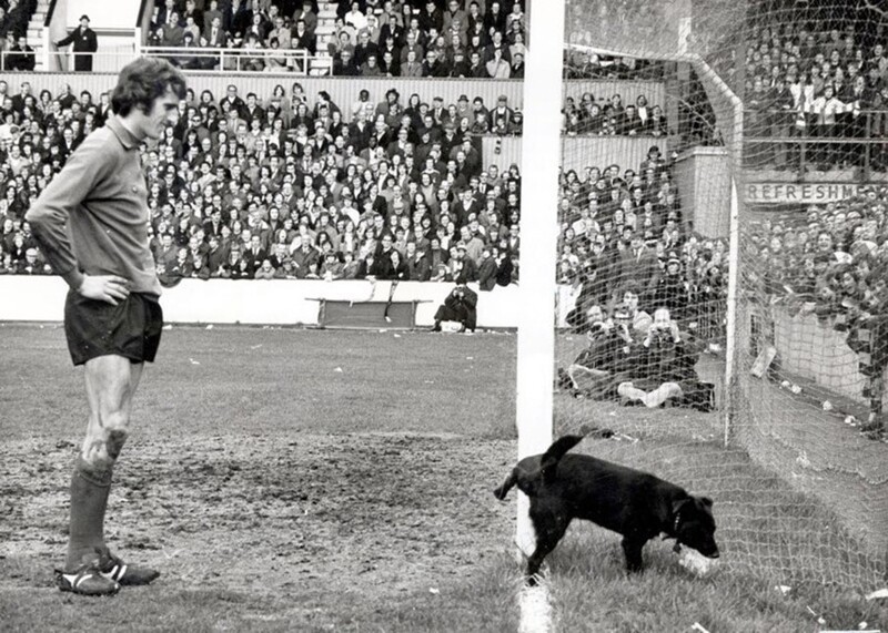 Голкипер “Ливерпуля” Рэй Клеменс в матче против “Вест Хема” терпеливо ждет, пока собачка выражает свое мнение о его игре, Англия, 1972 год