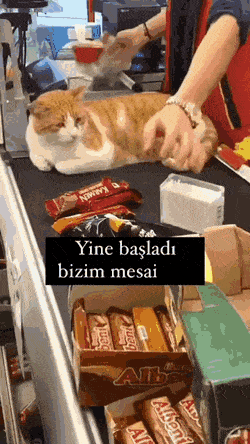 Следит, чтобы все прошло через кассу