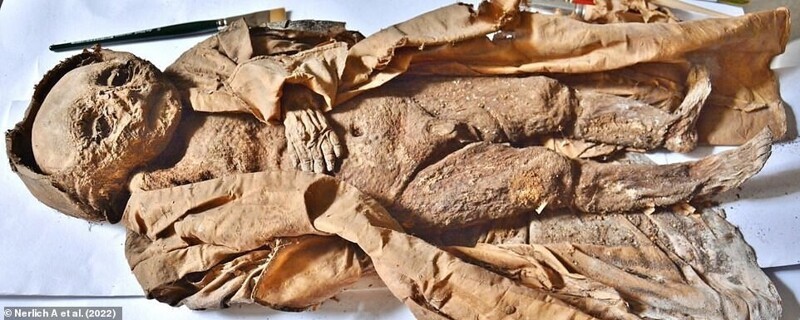Учёные провели "виртуальное вскрытие" мумии ребёнка, который жил в 17 веке
