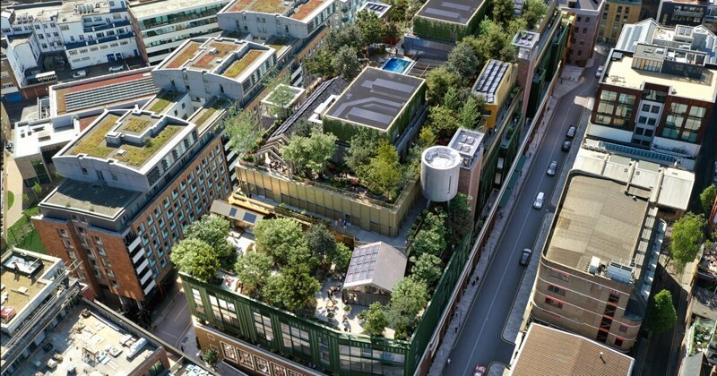 Лес на крыше: британцы озеленяют бетонный Лондон оригинальным способом