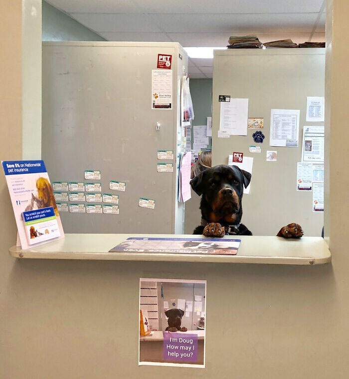 Этого работника ветеринарной клиники зовут Даг, и у него даже есть своя табличка