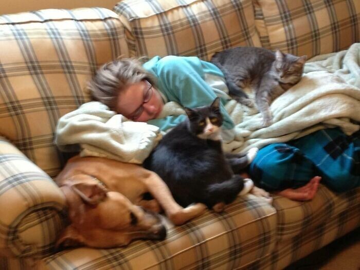 "Моя подруга - ветеринар. Вот так она заснула после трудной ночной смены"