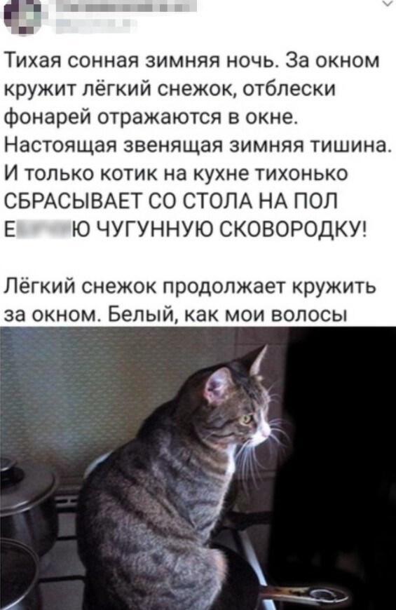 Скинь котика