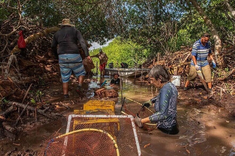 Победитель в категории "Истории мангров". Проект восстановления мангровых лесов на Бонайре - Лоренцо Миттига, Нидерландские Антильские острова