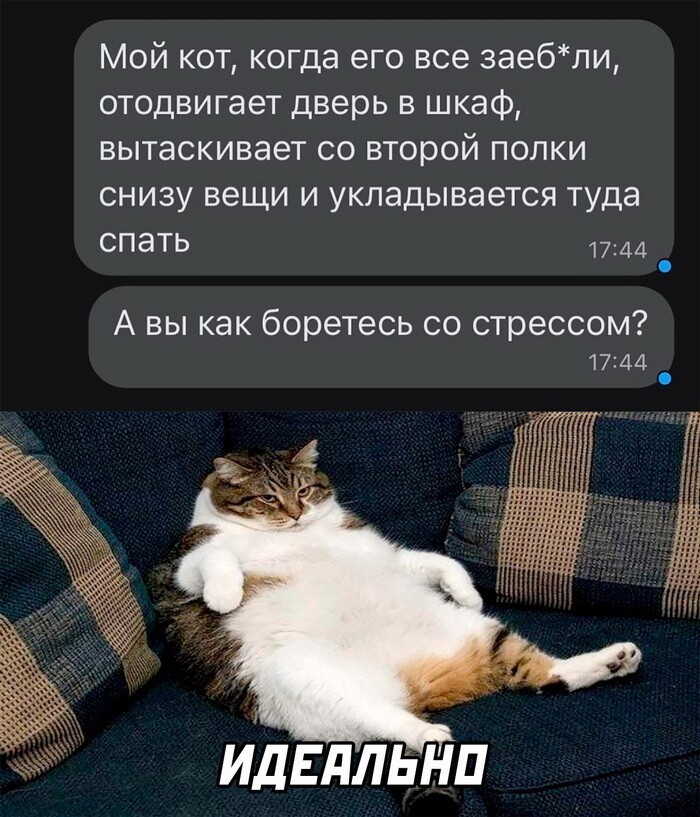 Скрины из соцсетей