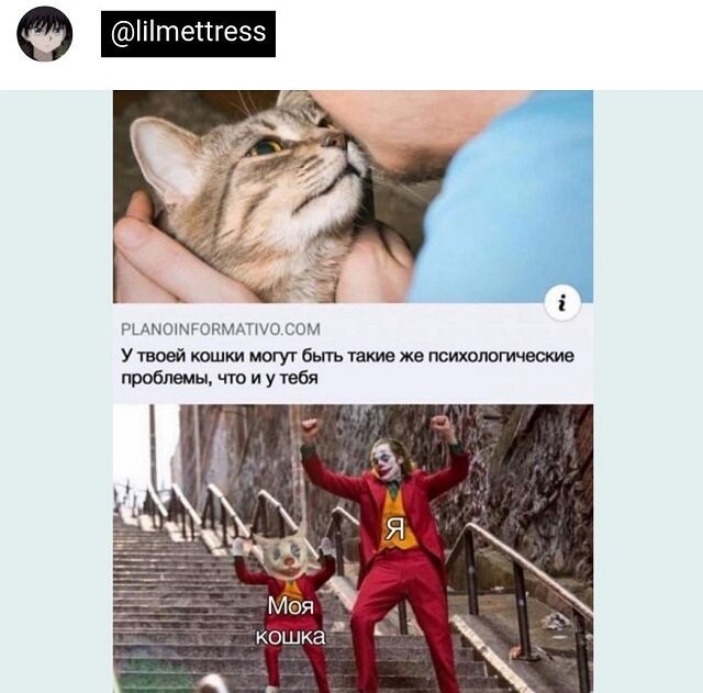 Скрины из соцсетей